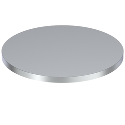 48"x1" Hot Roll Round Plate, Finish Polish